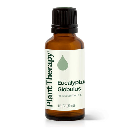 Plant Therapy Aceite esencial de eucalipto globulus 30ml