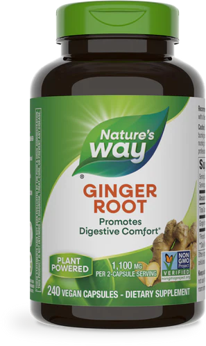 Nature's Way Suplemento Raíz de Jengibre, 1100 mg por cada 2 cápsulas, 240 cápsulas para 4 meses